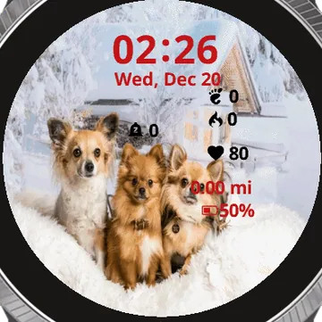 Three Chihuahuas Garmin watch face preview