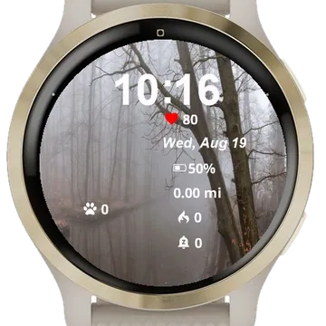 Through Foggy Forest Garmin watch face preview