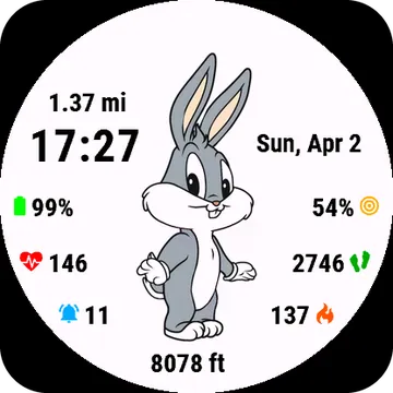 TinyRabbit Garmin watch face preview