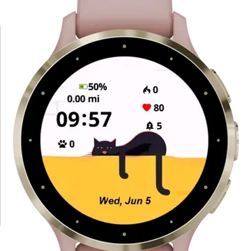 Tired Cat Garmin watch face preview