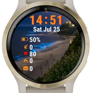 Train Going Down Tracks Garmin watch face preview