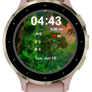 Travel Nature Garmin watch face preview