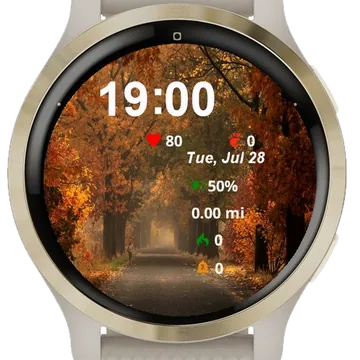 Tree Lined Road Middle Woods Garmin watch face preview