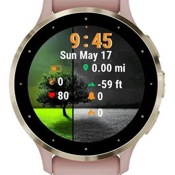 Tree Middle Field Garmin watch face preview
