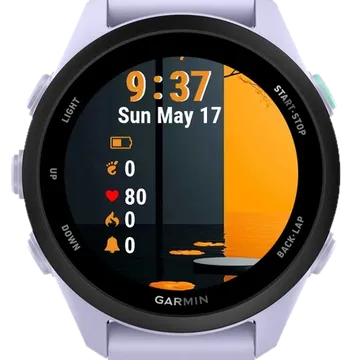 Tree Water Bright Orange Sky Garmin watch face preview