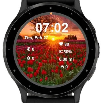 Tulip Fields at Sunset Garmin watch face preview