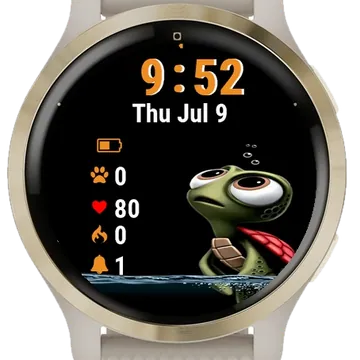 Turtle Standing Water Garmin watch face preview