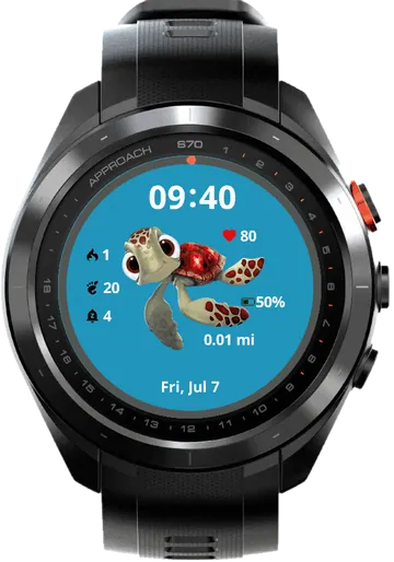 Turtle Garmin watch face preview
