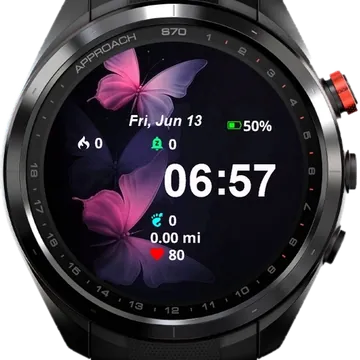 Two Butterfly Garmin watch face preview