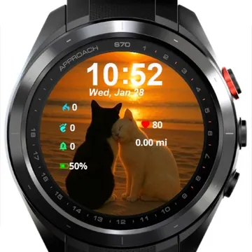 Two Cats Sitting Beach At Garmin watch face preview