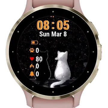 Two Cats Sitting Roof Garmin watch face preview