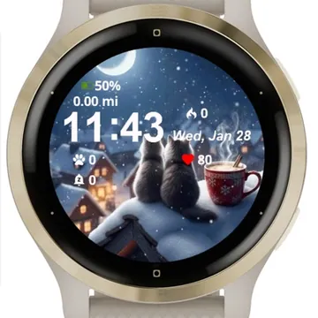 Two Cats Sitting Top Roof Garmin watch face preview