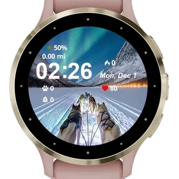 Two Dogs Pulling Garmin watch face preview