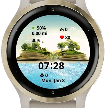 Two Islands Garmin watch face preview
