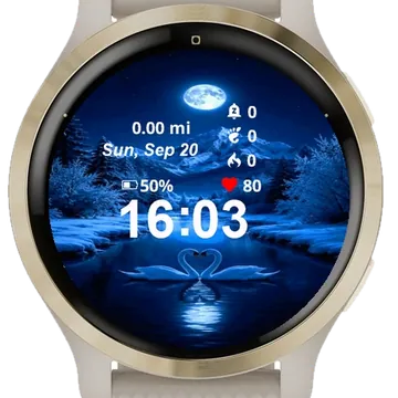 Two Swans Swimming Water Garmin watch face preview
