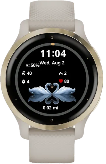 Two Swans Garmin watch face preview