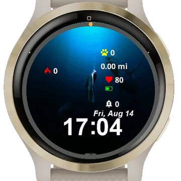 Two Whales Swimming Water Garmin watch face preview