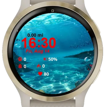 Underwater Scene Fish Corals Garmin watch face preview