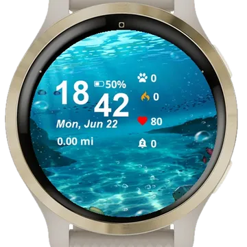 Underwater Scene Fish Corals Garmin watch face preview
