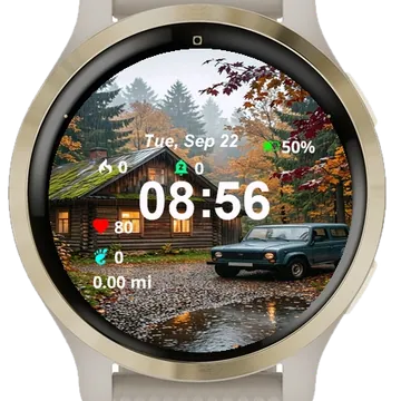 View Car Parked Front Cabin Garmin watch face preview
