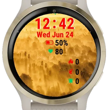 View City Bagan Garmin watch face preview