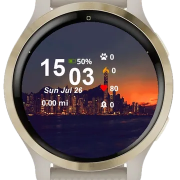 View City Skyline Night Garmin watch face preview