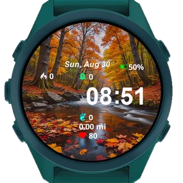 View Fall Leaves Water Rocks Garmin watch face preview