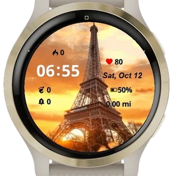 View Landscape Disney Paris Garmin watch face preview