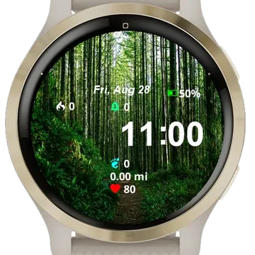 View Path Through Woods Garmin watch face preview