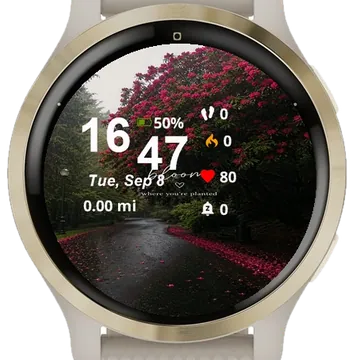 View Road Covered Pink Flowers Garmin watch face preview