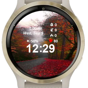 View Road Covered Red Leaves Garmin watch face preview