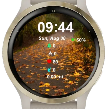 View Road Covered Yellow Leaves Garmin watch face preview