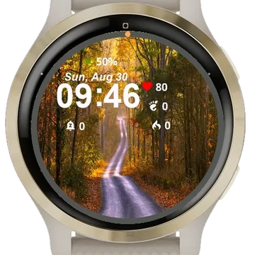 View Road Empty Leaves Garmin watch face preview