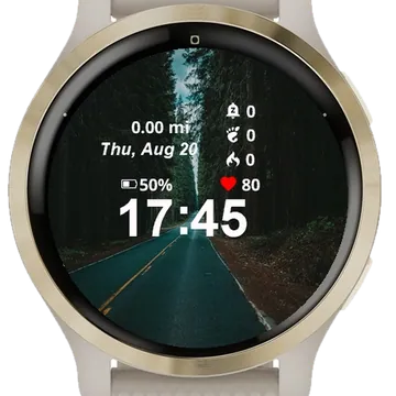 View Road Empty Trees Garmin watch face preview