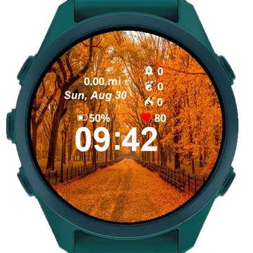 View Road Lined Yellow Leaves Garmin watch face preview