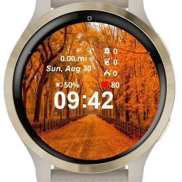 View Road Lined Yellow Leaves Garmin watch face preview