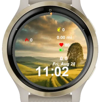 View Sun Setting Over Open Field Garmin watch face preview