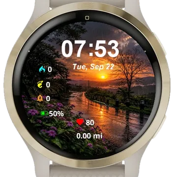 View Sun Setting Over Street Garmin watch face preview