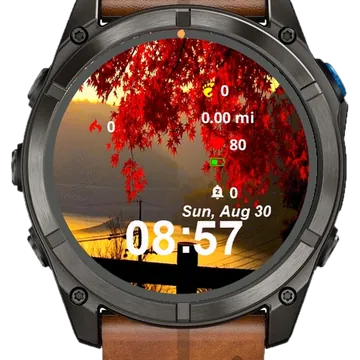 View Sun Setting Over Water Trees Garmin watch face preview