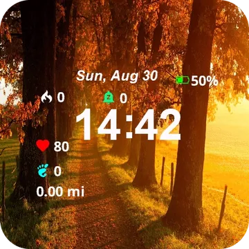 View Sun Shining Through Trees Garmin watch face preview