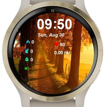 View Sun Shining Garmin watch face preview