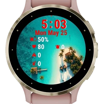 View Tropical Island Palm Trees Garmin watch face preview