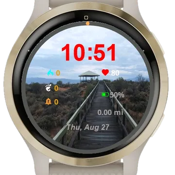 View Walkway Leading Gaze Garmin watch face preview