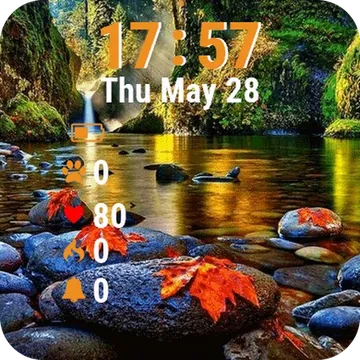 Waterfall Middle Forest Garmin watch face preview