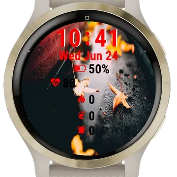 Wet Puddle Fallen Leaves Garmin watch face preview