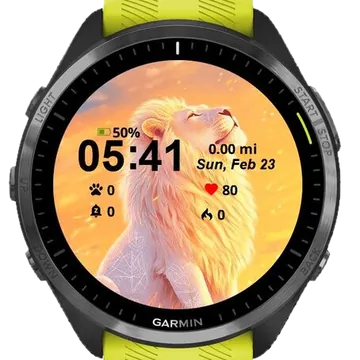 What Do Lions Garmin watch face preview
