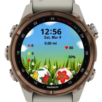 White Eggs Garmin watch face preview
