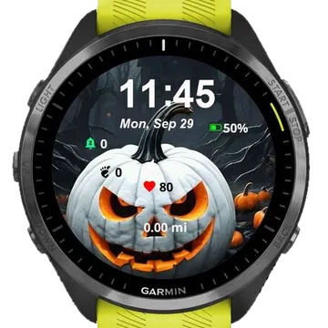White Pumpkins Garmin watch face preview