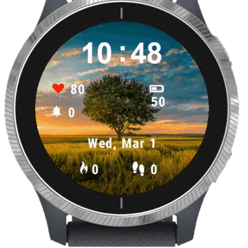 Wide Garmin watch face preview
