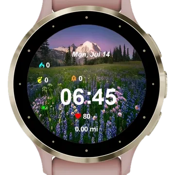 Wildflower Garmin watch face preview